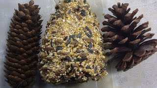 A Peanut Butter Pinecone Bird Feeder DIY Easy Kids Craft [upl. by Kcirtapnhoj]