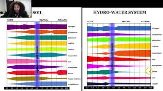 Cannabis PH  Best PH Level For Growing Potent Cannabis [upl. by Bailie]