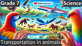 Grade 7  Science  Transportation in animals  Free Tutorial  CBSE  ICSE  State Board [upl. by Zilada]