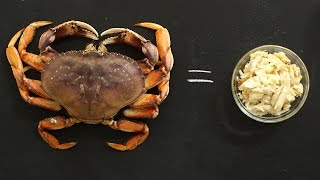 How to Break Down Fresh Crab Like a Pro  Kitchen Conundrums with Thomas Joseph [upl. by Alverson]