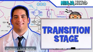 Metabolism  Transition Stage Preparatory Phase [upl. by Earised]