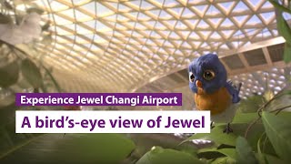 A bird’seye view of Jewel Changi Airport [upl. by Oramlub]