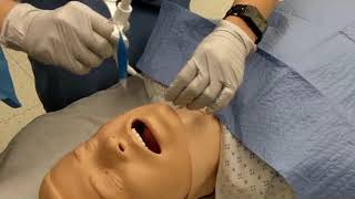 Basic Airway Management [upl. by Ahsoyek280]