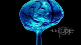 CSF Circulation  Physiology  Formation Properties Hydrocephalus CNS Physiology  Neuroanatomy [upl. by Tammy82]