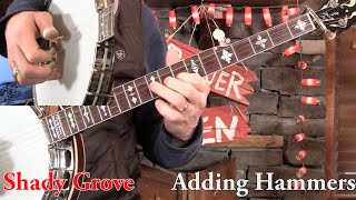 Shady Grove 3Finger Banjo Lesson in D Minor [upl. by Greenes]