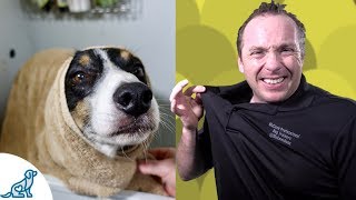 Simple Hacks To Bath Your Dog  Professional Dog Training Tips [upl. by Ennasil583]