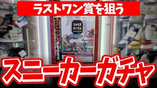 宮城のスニーカーガチャ10000円チャレンジ [upl. by Crispas]