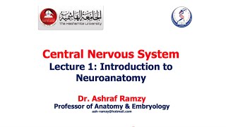 Lecture 1  Introduction to Neuroanatomy  CNS [upl. by Asillim]