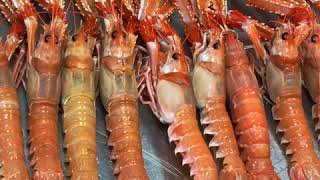 Langoustines vivantes dans la cuisine  Live langoustines in the kitchen [upl. by Notlok219]