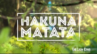 Hakuna Matata  Disneys THE LION KING Official Lyric Video [upl. by Prochoras]