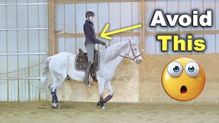 POSTING TROT FOR BEGINNERS TIPS 🐴 [upl. by Ennovyahs]