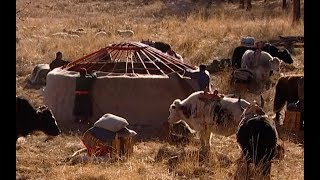 The Nomadic Existence of a Mongolian Herding  Tribe  Earth Unplugged [upl. by Gotthelf]