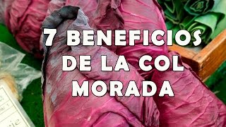 7 Increibles Beneficios de la Col Morada para la Salud [upl. by Harleigh]