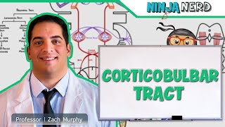 Neurology  Descending Tracts Corticobulbar Tract [upl. by Elwina]