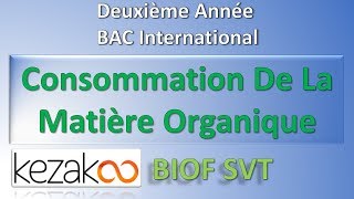 SVT 2 BAC International BIOF  Consommation De La Matière Organique Notions Elementaires [upl. by Arlyne]