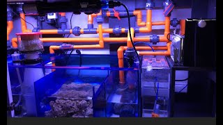 How To The Ultimate Filtration Sumps [upl. by Jemma83]