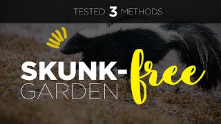 Skunk 🦨 Deter Method Which Do They Dislike Most [upl. by Notsag965]