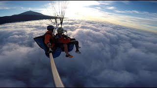 Paragliding Tenerife 2022  Tenerfly [upl. by Tobye]