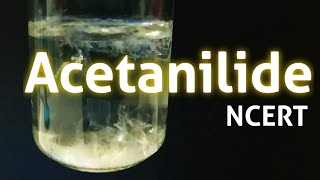 Acetanilide Nphenylacetamide Preparation NCERT guide [upl. by Tavie]