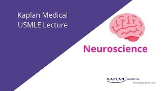 USMLE Prep Neuroscience Lecture [upl. by Emelita]