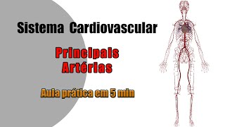 Arteria Aorta  Anatomía Humana en Odontología [upl. by Nairdna]