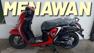 SCOOPY 2022 SPORTY RED INI BARU KEREN [upl. by Eilojne]