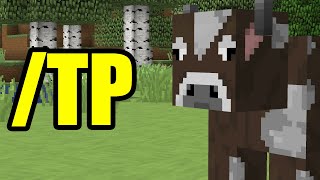 How To Teleport Mobs In Minecraft 116 [upl. by Atronna]