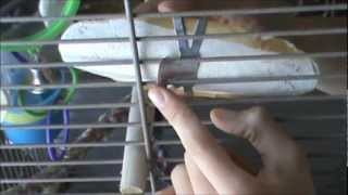 How to Attach a Cuttlebone to a Bird Cage [upl. by Caves344]