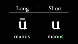 The Latin Alphabet  Vowel Pronunciation [upl. by Hayalat]