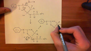 Protein sequencing  Edman Degradation Part 2 [upl. by Fitzpatrick]