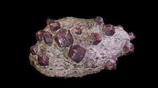 Geology 11 Metamorphic Rocks [upl. by Latrice]