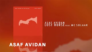 Asaf Avidan  Lost Horse feat MC Solaar [upl. by Orianna]