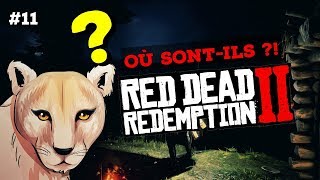 11 COUGAR  OÙ LES CHASSER  RED DEAD REDEMPTION 2 [upl. by Emelina782]