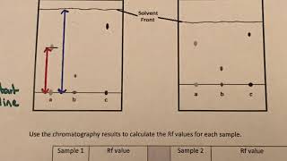 Explaining how to calculate Rf values [upl. by Anej316]