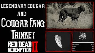 RDR2 Legendary Cougar Location  Cougar Fang Trinket  10 Stamina Exp  Red Dead Redemption 2 [upl. by Anomor]