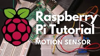 How to Use a PIR Motion Sensor with Raspberry Pi [upl. by Laurita]