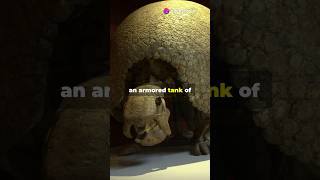 Glyptodon Ancient Tank [upl. by Eugenia]