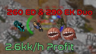 tibia  Duo EKED  Lower Roshamuul  26kk150 200  270  tibia guide [upl. by Gayelord]