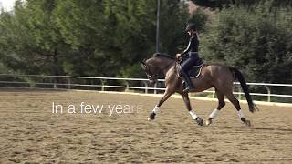 How to develop the quotsecondquot trot [upl. by Whitnell818]