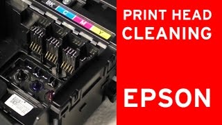 Epson print head cleaner nozzle cleaning  flushing clogged nozzles [upl. by Bendite]