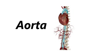 Doppler Arterias Carótidas y Vertebrales  Dr Daniel Sandoval Guerra [upl. by Eralc108]