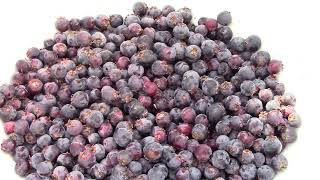 What is a Saskatoon berry North American super fruit [upl. by Siva]