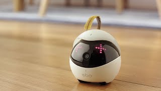 Ebo – The Smartest Robot Companion for Your Cat [upl. by Shadow437]