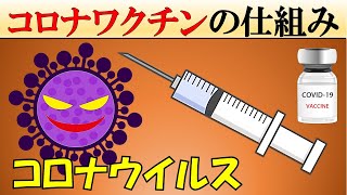 新型コロナウイルスのワクチンはどのように作用する？【mRNAワクチン】 [upl. by Farlay]