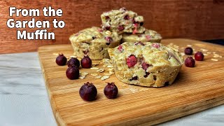 Serviceberry Oat Muffin Recipe From The Garden [upl. by Koffman]