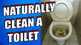 How To Clean a Toilet using Baking Soda and Vinegar [upl. by Schreck413]