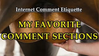 Internet Comment Etiquette quotMy Favorite Comment Sectionsquot [upl. by Pazia]