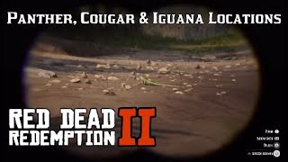 Panther Cougar amp Iguana Location for Perfect Pelt RDR2 Hunting  Red Dead Redemption 2 [upl. by Auberta]