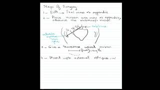 Pediatric Surgery Operative Steps Open Appendectomy [upl. by Naujit]