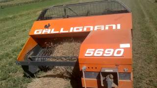 gallignani 5690 gold [upl. by Revert]